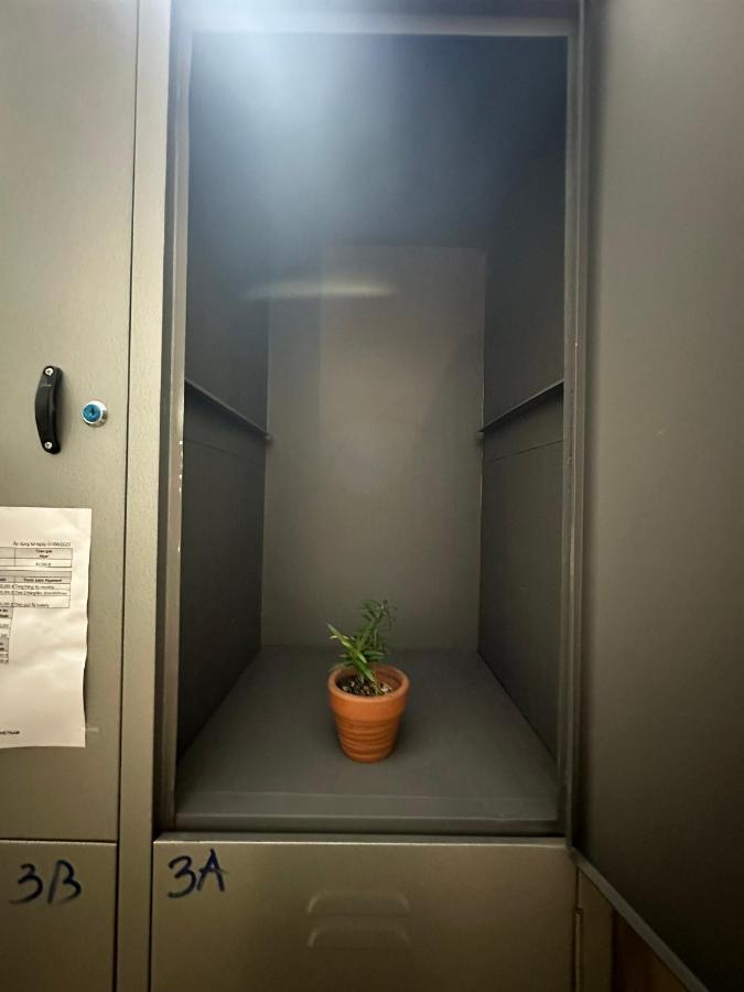 Home Tea An Yen Dorm Ho Şi Min Dış mekan fotoğraf